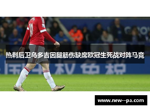 热刺后卫乌多吉因腿筋伤缺席欧冠生死战对阵马竞 热刺后卫乌多吉因腿筋伤缺席欧冠生死战对阵马竞