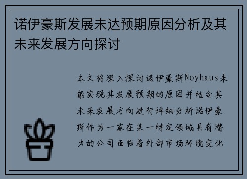 诺伊豪斯发展未达预期原因分析及其未来发展方向探讨